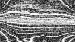 image: image from bw hatching