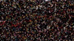 image: 3.5 collection thumbnail