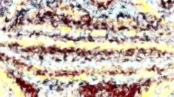 image: image from canvas manipulators