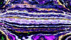 image: image from cloners