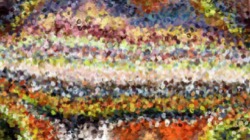 image: image from cloners