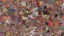 image: image from fizzy