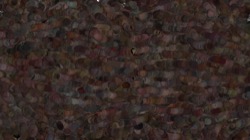 image: image from globby liquids