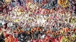 image: image from globby liquids