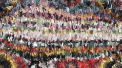 image: image from gradient multinibs