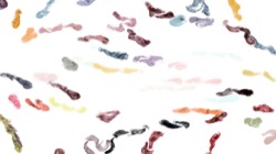 image: image from liquid cloner