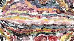 image: image from liquid cloner