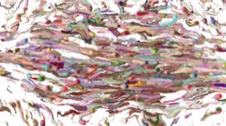 image: image from liquid cloner