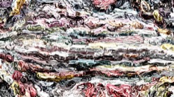 image: image from multinibs