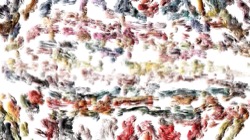 image: image from multinibs