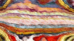 image: image from multinibs