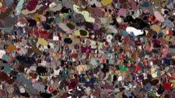 image: image from particles