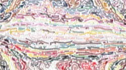 image: image from region draw