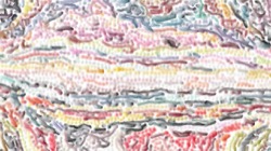 image: image from region draw