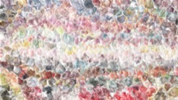 image: image from region draw