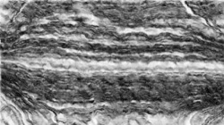 image: image from sketch