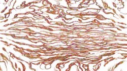 image: image from sketch