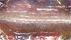 image: image from sketch