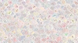 image: image from stylistik