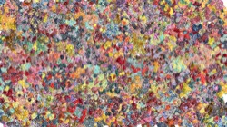 image: 3.5 collection thumbnail