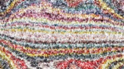 image: image from wacom enhanced