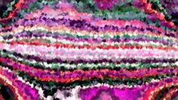 image: image from wild