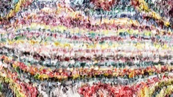 image: image from wild