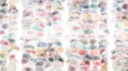 image: image from complex paint textures