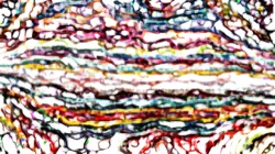 image: image from fractal textures santa