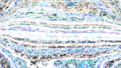 image: image from fun pack 1