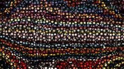 image: image from gridscan exps 2