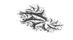 image: image from msg line to scan