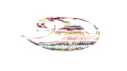 image: image from msg line to scan