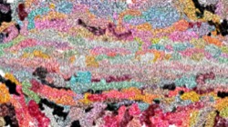 image: image from new msg paint