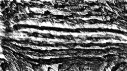 image: image from new sketch