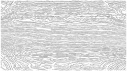 image: image from new sketch