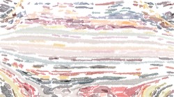 image: image from path repeaters