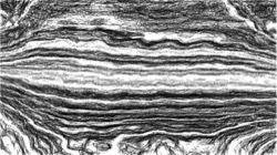 image: image from pencil sketch