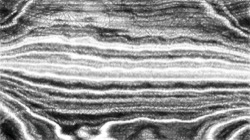 image: image from pencil sketch