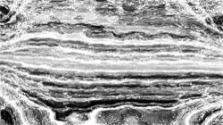 image: image from pencil sketch