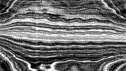 image: image from pencil sketch