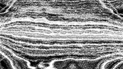 image: image from pencil sketch