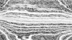 image: image from pencil sketch