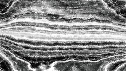 image: image from pencil sketch