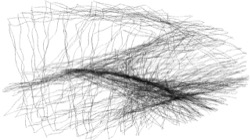 image: image from procedural abstraction exp