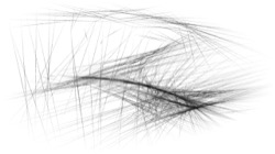 image: image from procedural abstraction exp