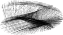 image: image from procedural abstraction exp