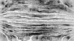 image: image from regionisers 2