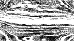 image: image from regionisers 2