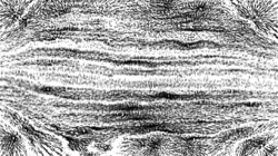 image: image from regionisers 2